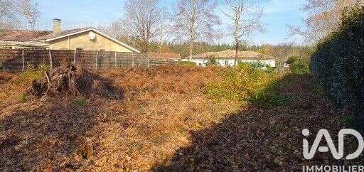 Photo 2 - Terrain à SAINT-PAUL-EN-BORN