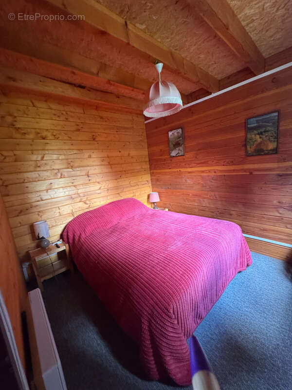 Chalet Terrain Garage Laveissiere - photo 7