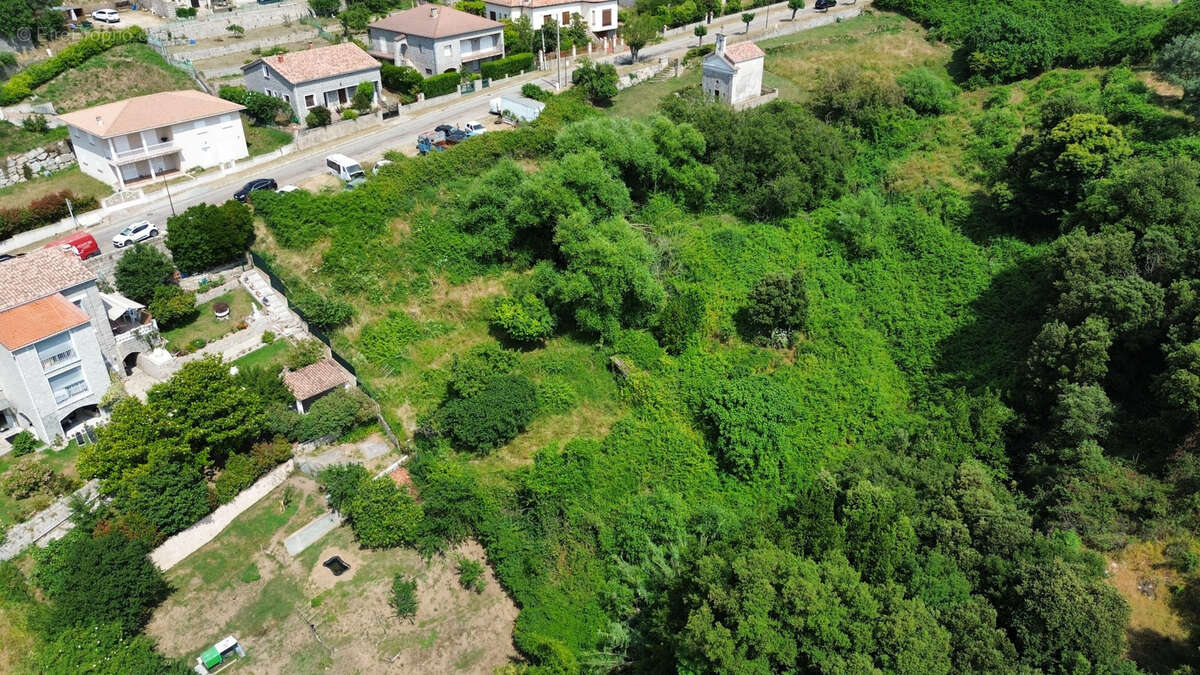 Terrain à SAINTE-LUCIE-DE-TALLANO