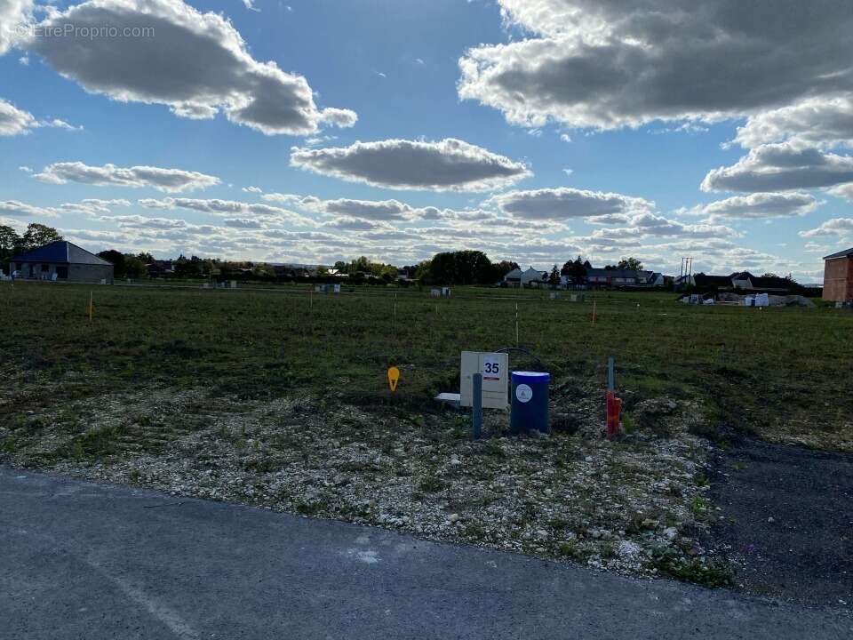 Terrain à MAZINGARBE