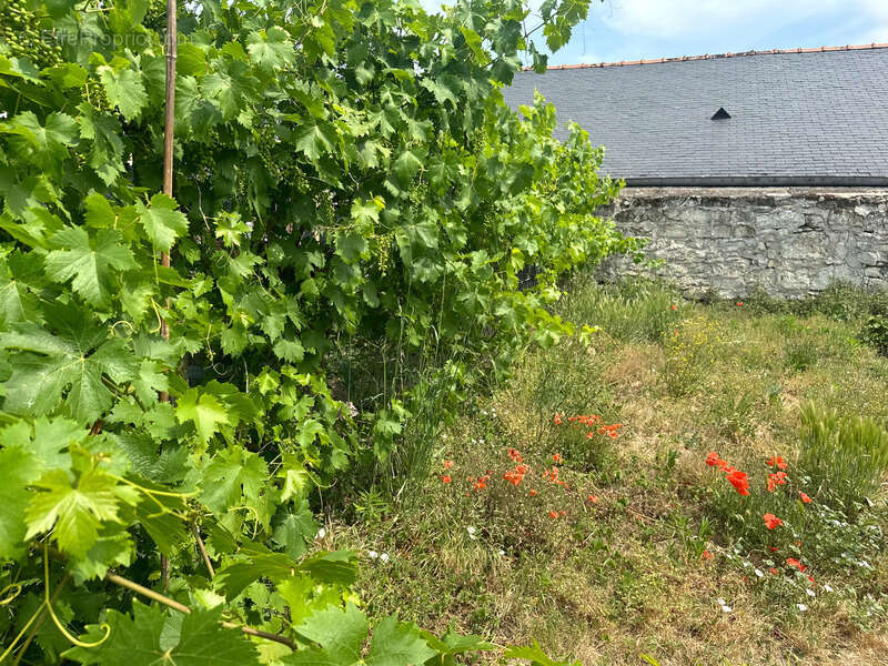 Maison à SAUMUR