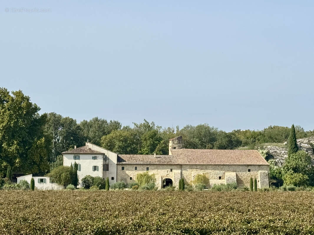 Autre à CHATEAUNEUF-DU-PAPE