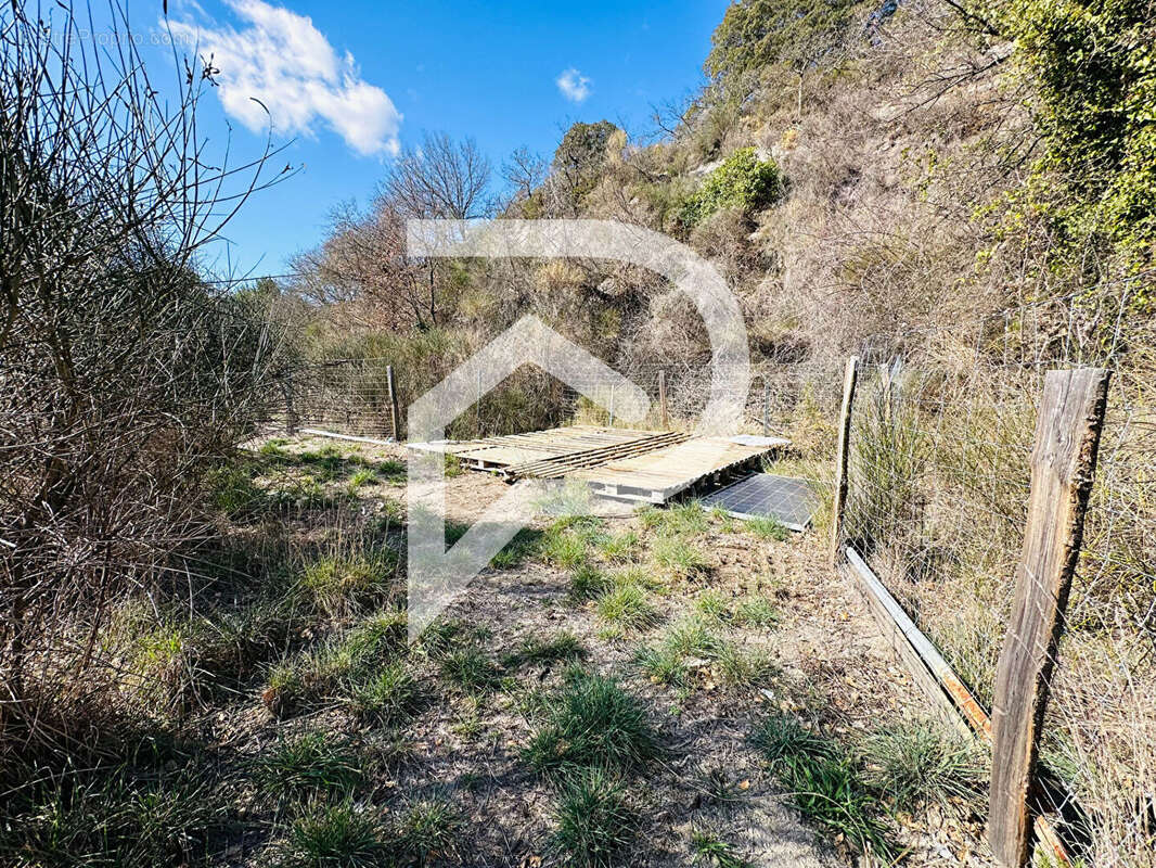 Terrain à ILLE-SUR-TET