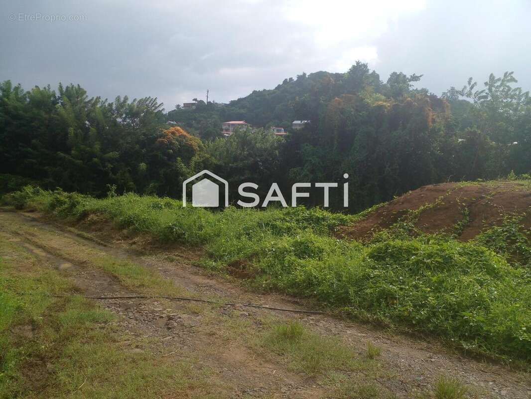 Photo 3 - Terrain à LE VAUCLIN