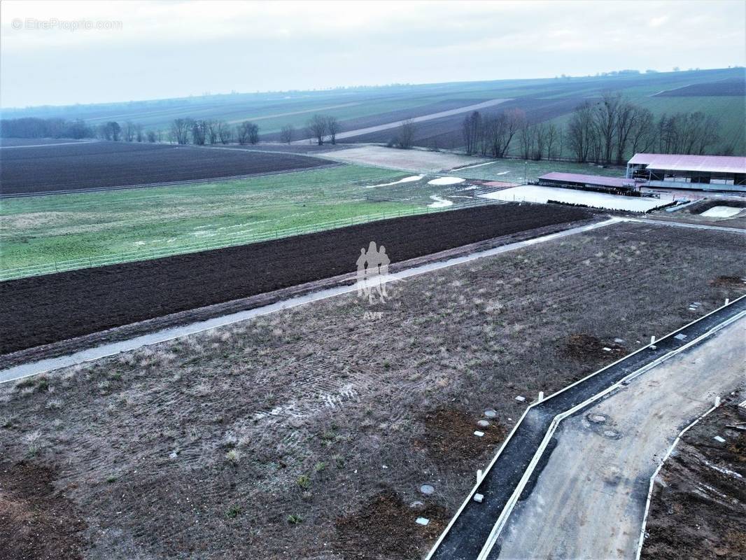 Terrain à OSTHOFFEN