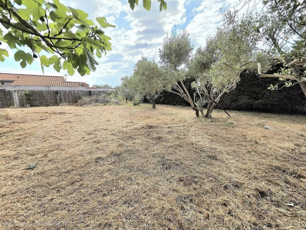 Terrain à BEAUCAIRE