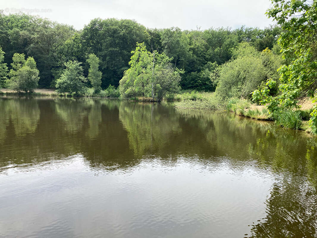 Terrain à LA GENEYTOUSE