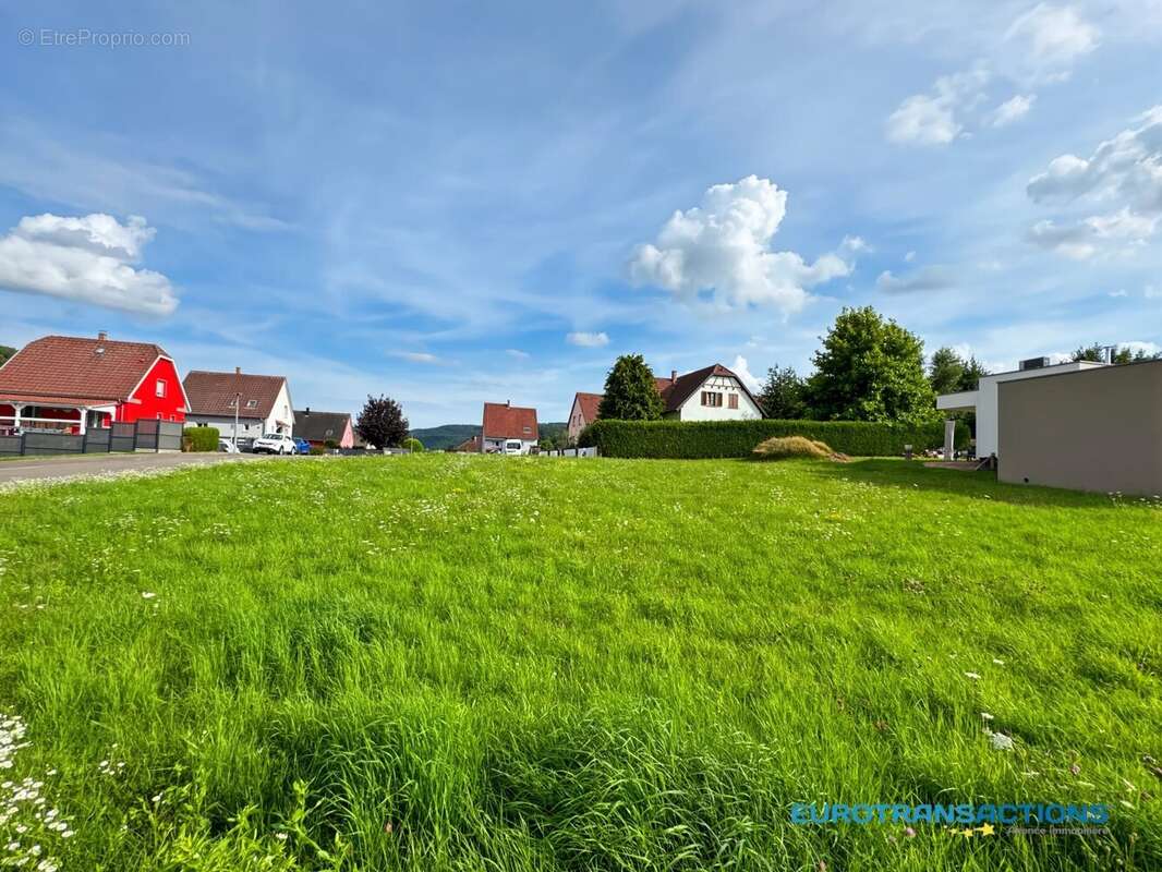 Terrain à DAMBACH