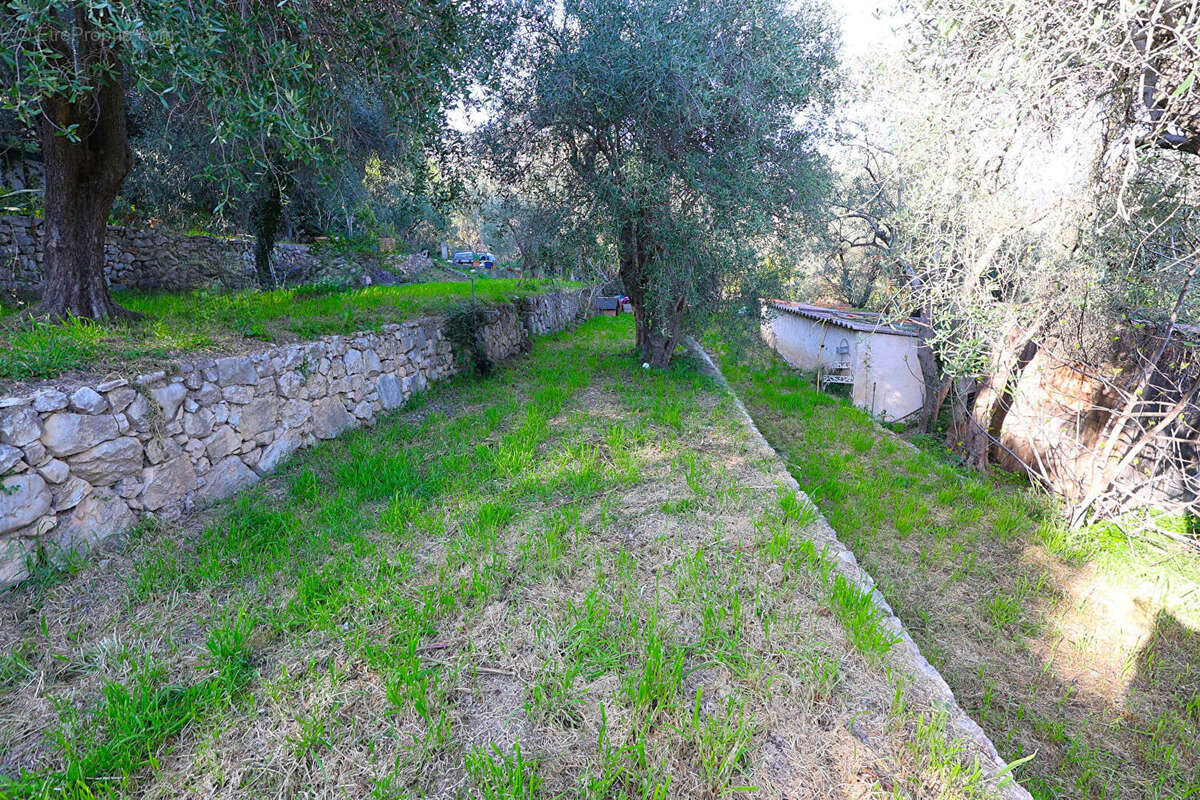 Terrain à SPERACEDES