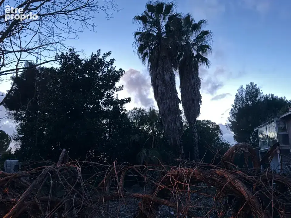 Photo Terrain à Lunel au prix de 275 000€