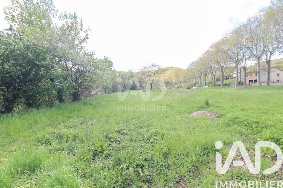 Photo 7 - Terrain à VABRES-L'ABBAYE