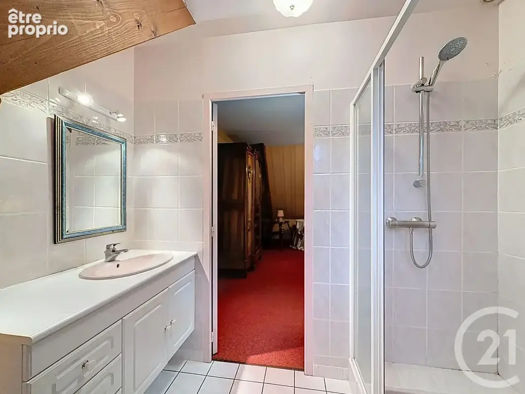 Maison 7 pièces 257 m² à vendre à La Ferte-Saint-Aubin (45240) - photo 11