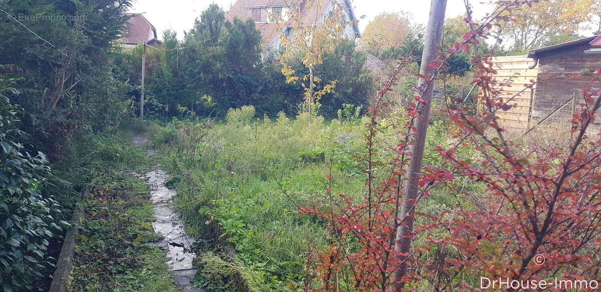 Maison à WITTELSHEIM