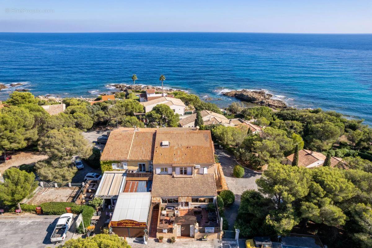 Commerce à ROQUEBRUNE-SUR-ARGENS