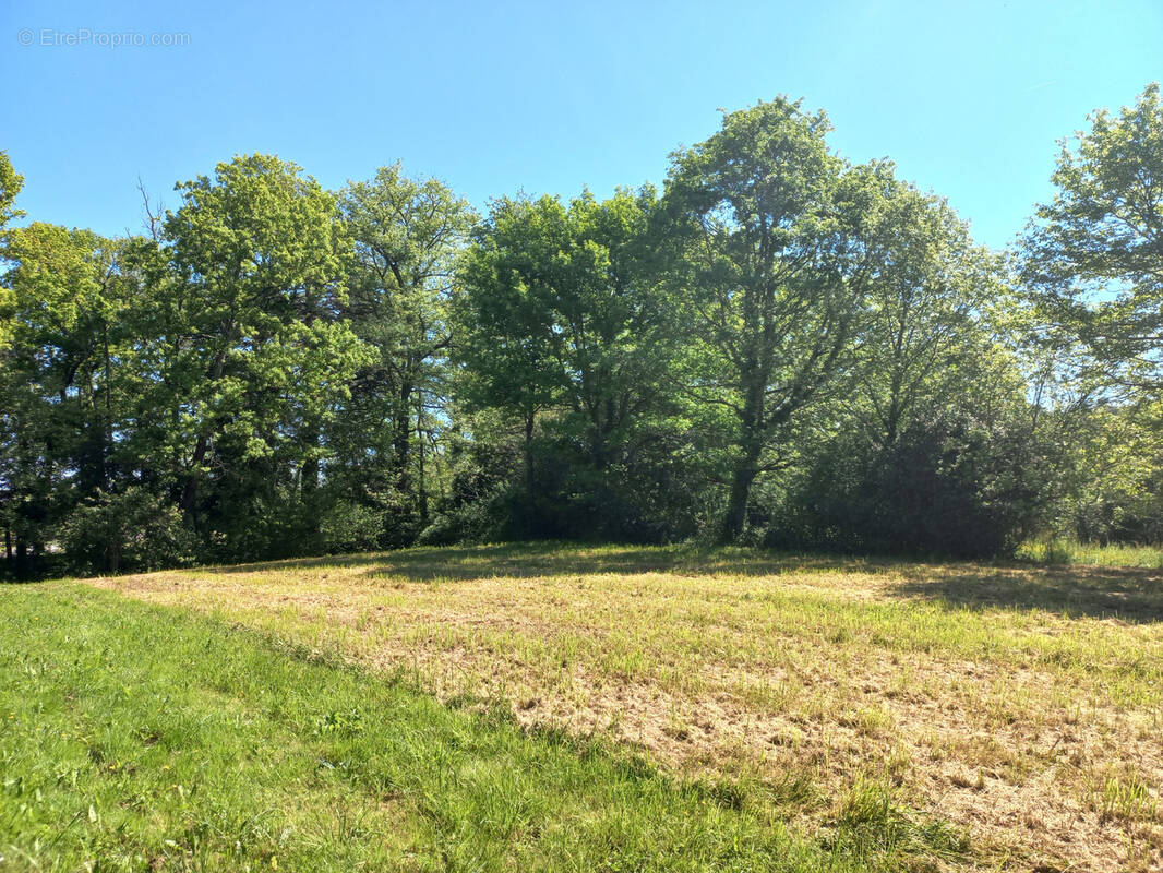 Terrain à TRIE-SUR-BAISE