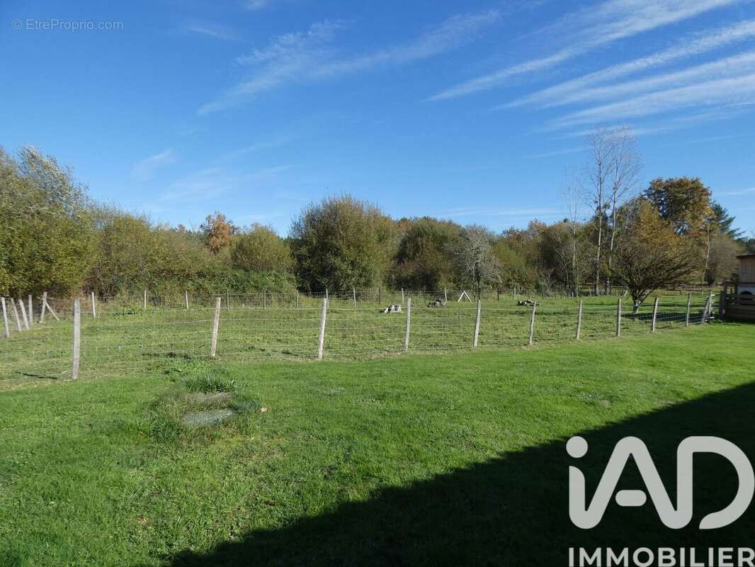 Photo 7 - Maison à BAZAS