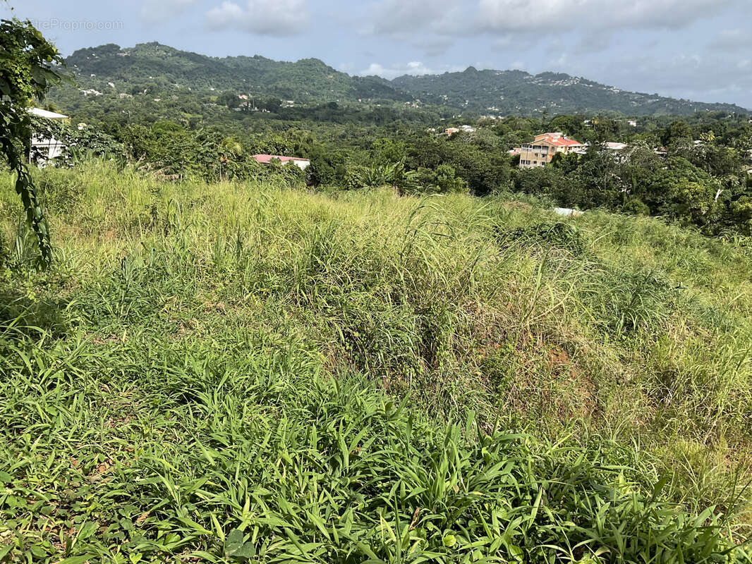 Terrain à LE ROBERT