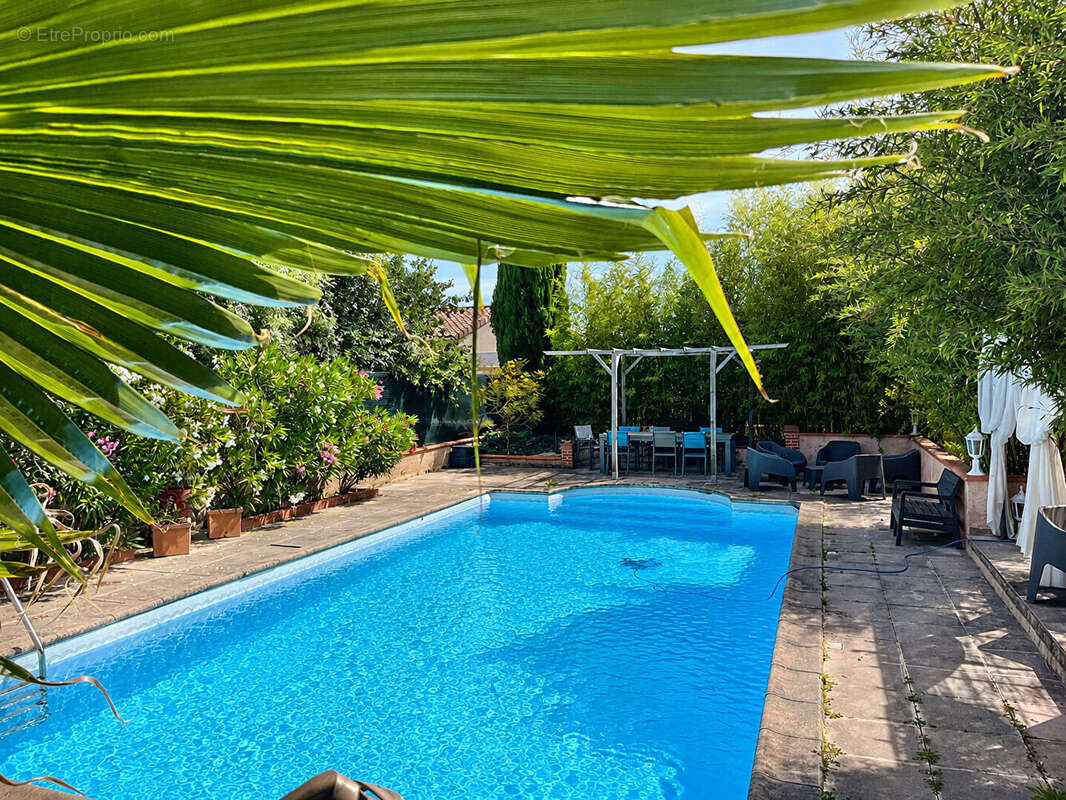 Maison contemporaine de plain-pied avec piscine et dépendance dans un environnement calme et paisible - photo 2
