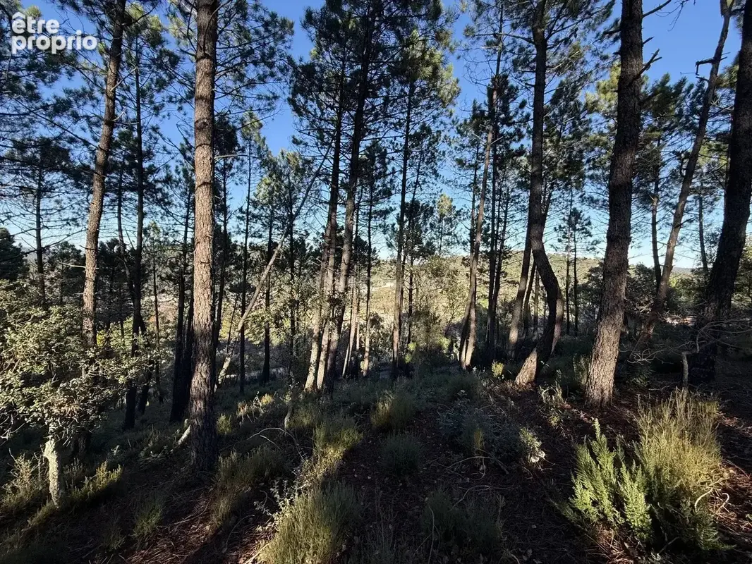 Vente Terrain Vidauban(83550) 130 000ï¿œ - photo 6
