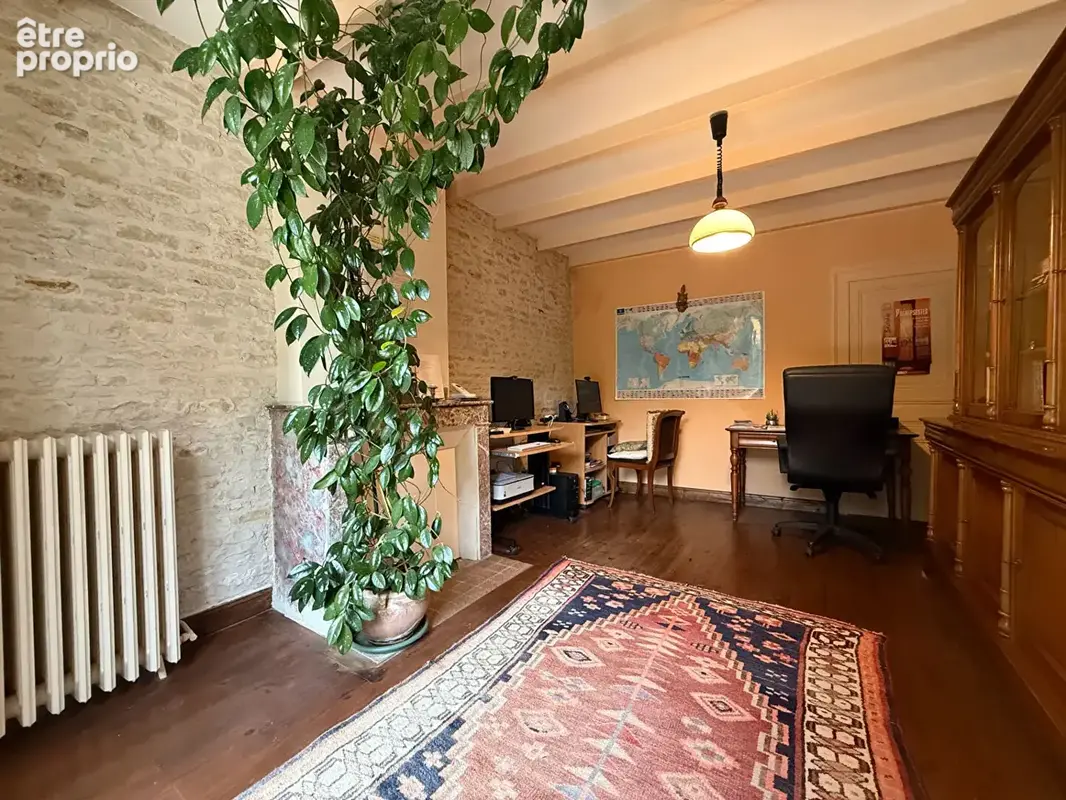 Maison 398m² à saint-hilaire-la-palud - photo 5