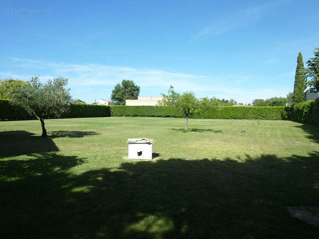 Terrain à ENTRAIGUES-SUR-LA-SORGUE