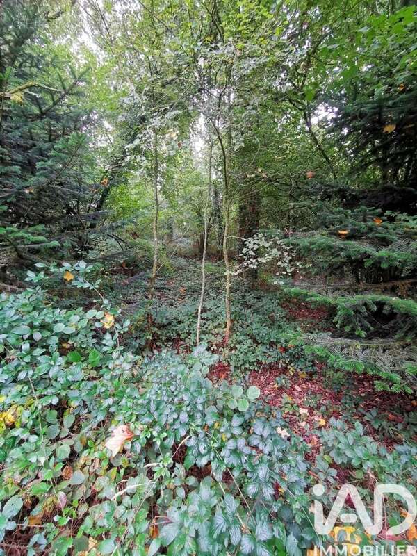 Photo 8 - Terrain à POULLAOUEN