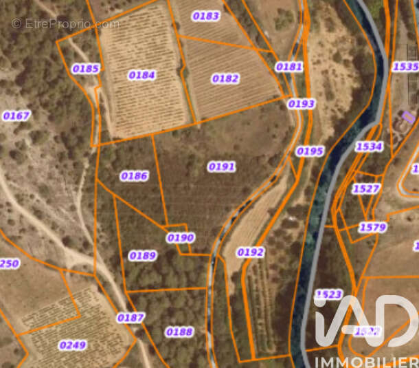 Photo 2 - Terrain à VILLENEUVE-MINERVOIS