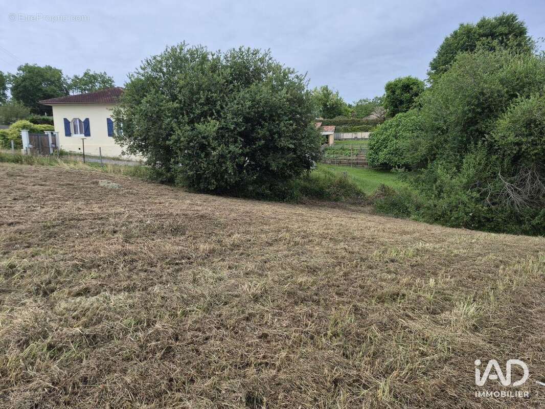 Photo 2 - Terrain à SAINT-ANDRE-DE-SEIGNANX