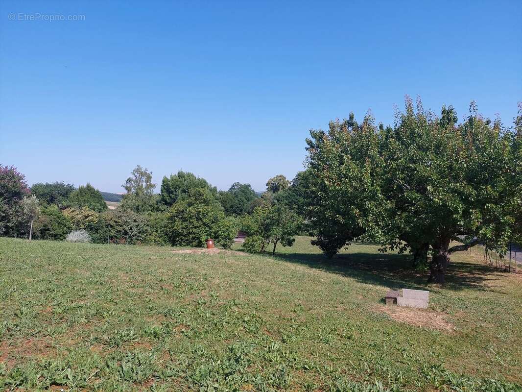 Coteaux Carbonne 31 , Villa sur 2155m² de terrain avec garage - photo 6
