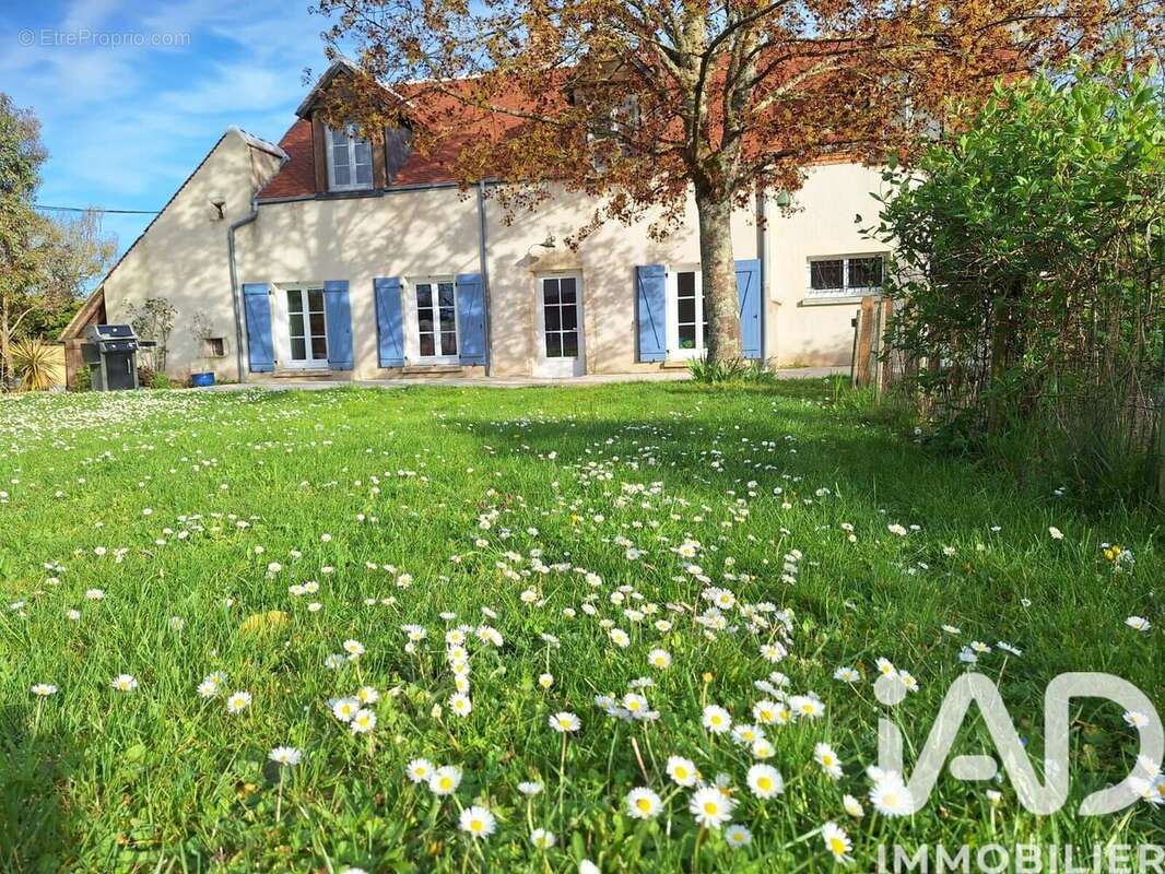 Photo 6 - Maison à OLIVET