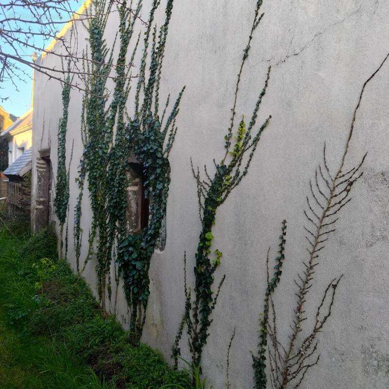 Maison à GROIX