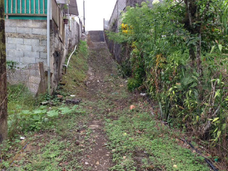 Terrain à SAINT-JOSEPH