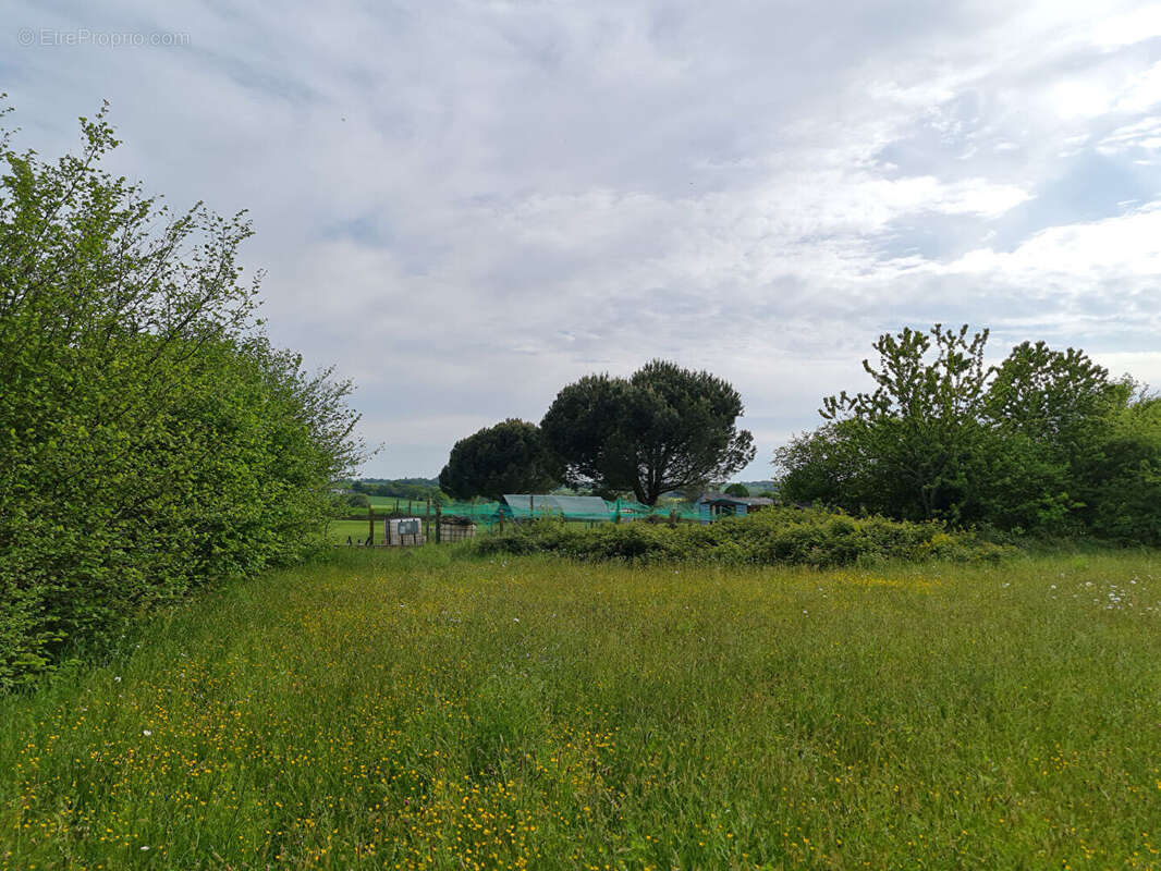 Terrain à MONTENEUF