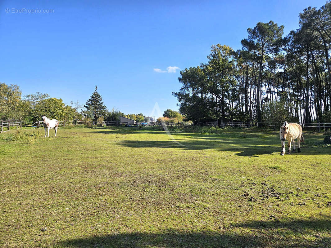 Maison à SAINT-GEORGES-SUR-CHER