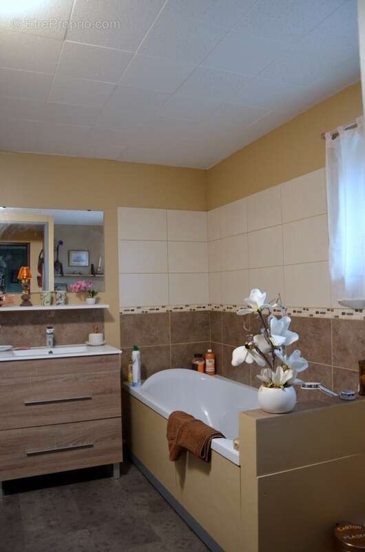 Maison à LE MESNIL-EN-VALLEE