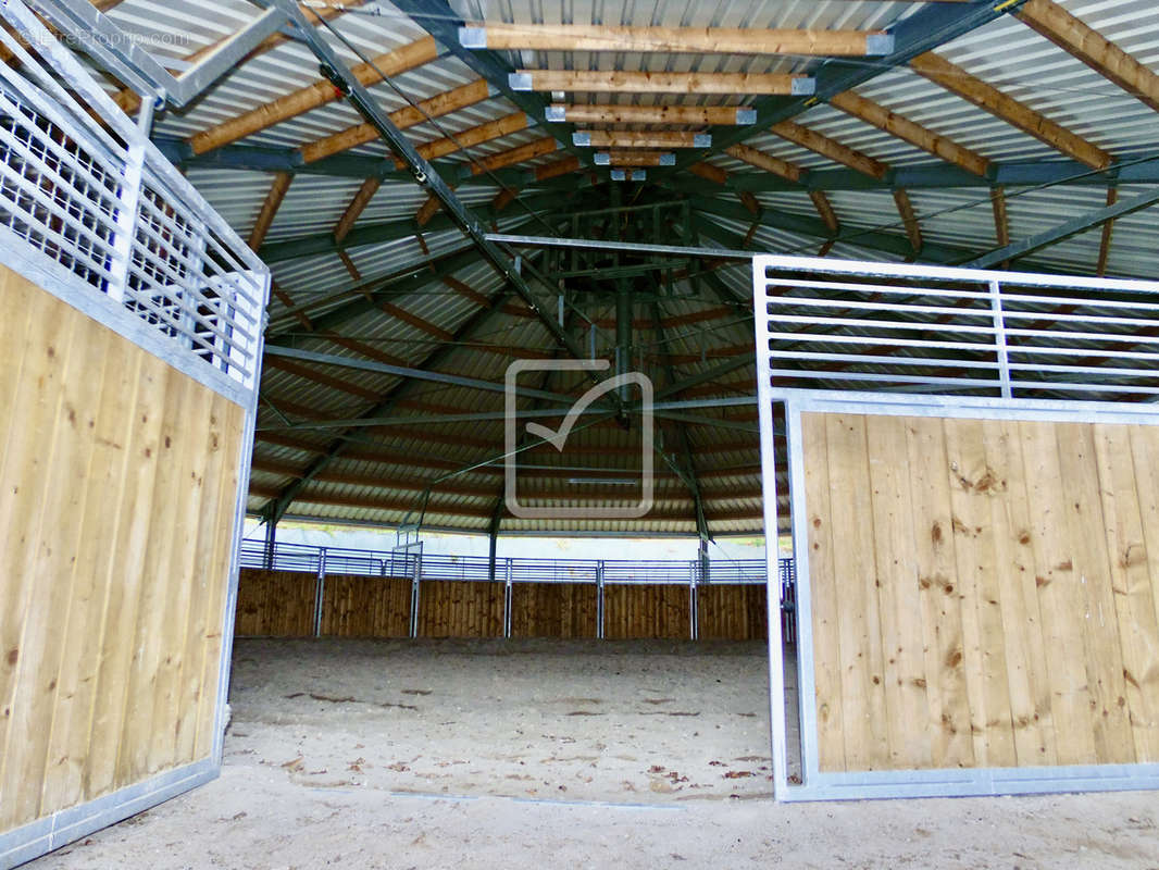 Maison à BRIVE-LA-GAILLARDE