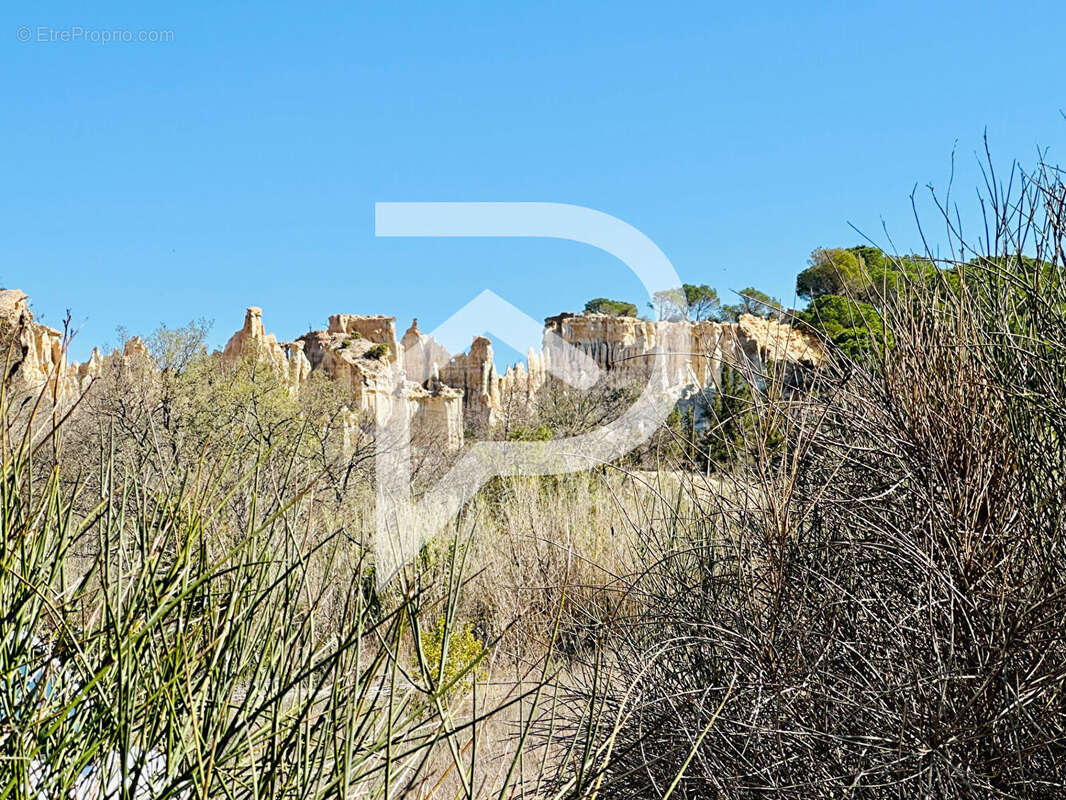 Terrain à ILLE-SUR-TET