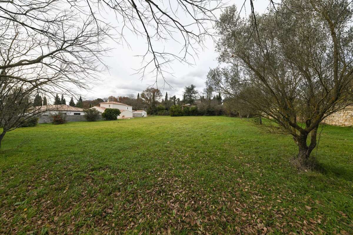 Grand et beau terrain plat constructible - photo 3