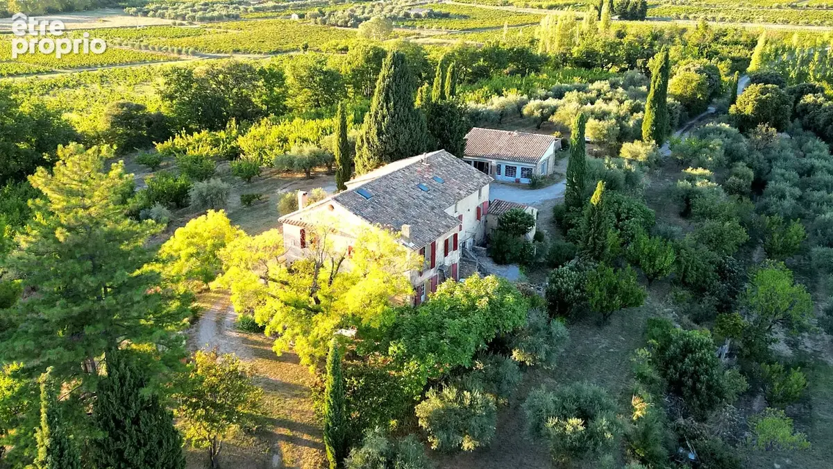 Demeure oliviers verger et vignes - photo 15
