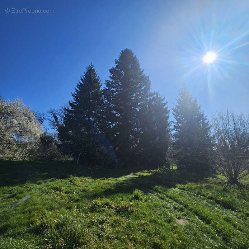 Autre à PIONNAT