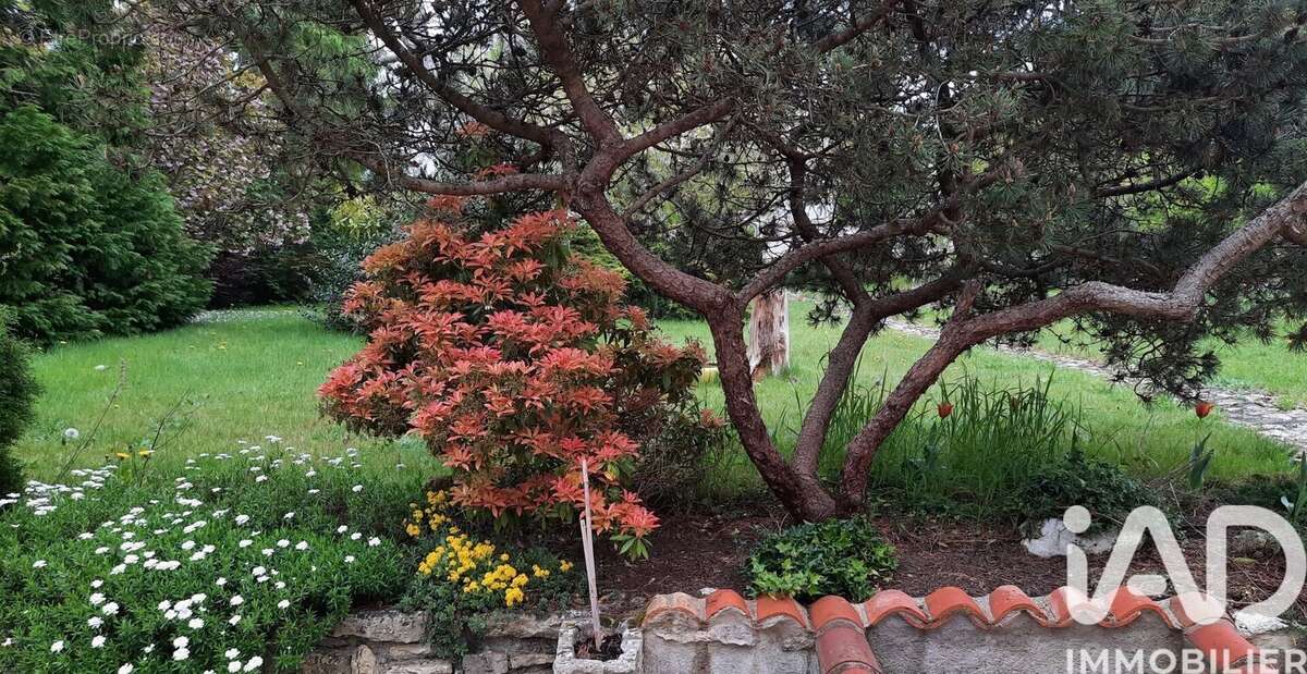 Photo 2 - Maison à SAINT-AVOLD