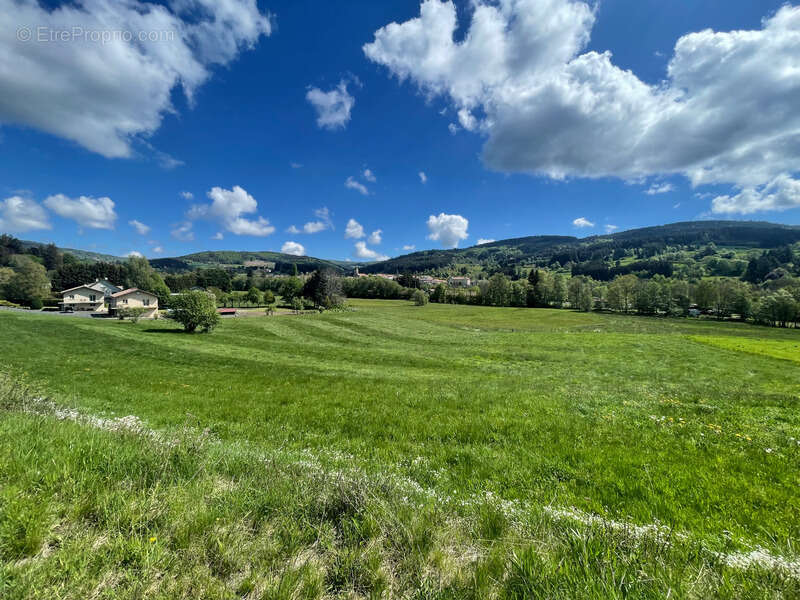  Maison de 310 m² avec gîte – 5 588 m² de terrain – Fraîcheur naturelle et revenus locatifs – Grandrif (63) - photo 34