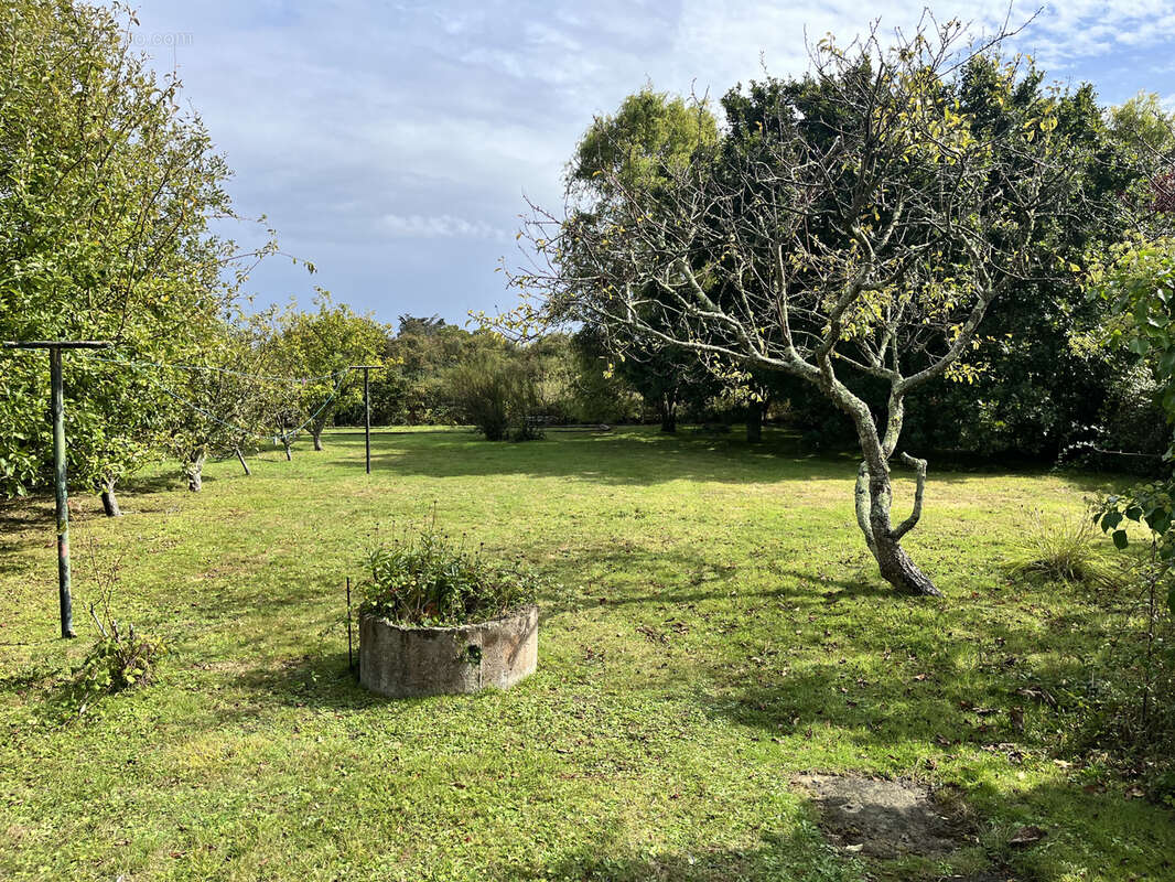 Maison à ILE-D&#039;ARZ