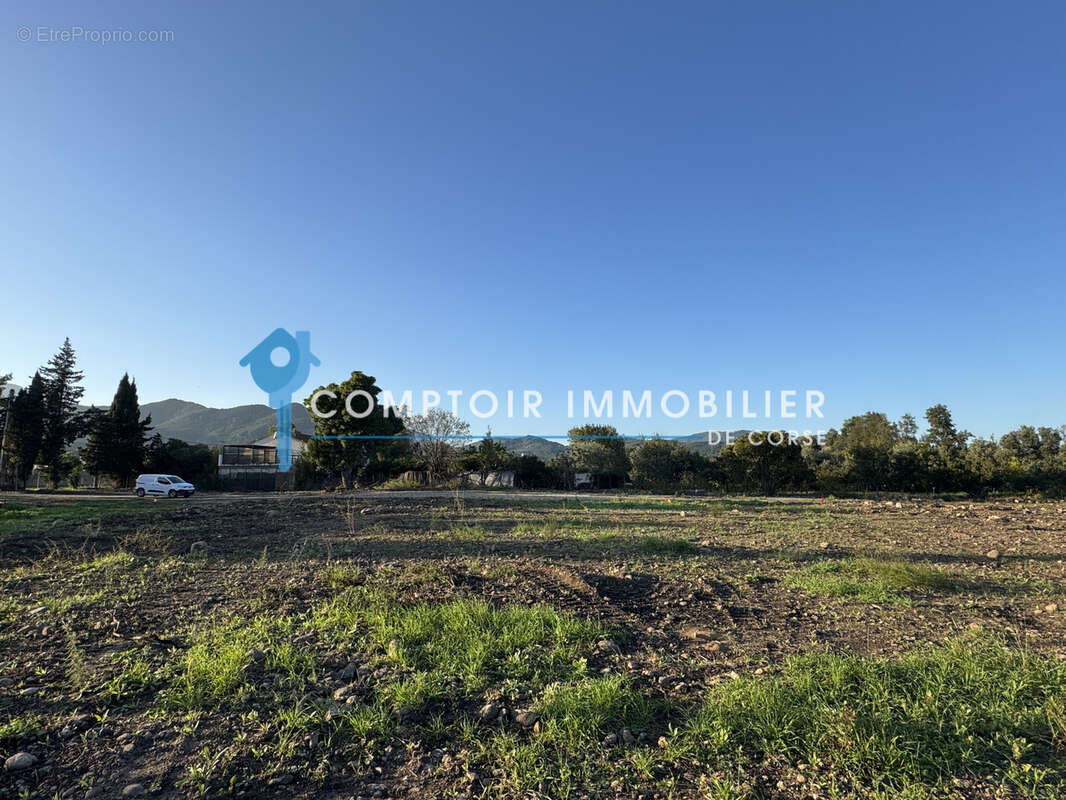 Terrain constructible à Ghisonaccia - photo 4