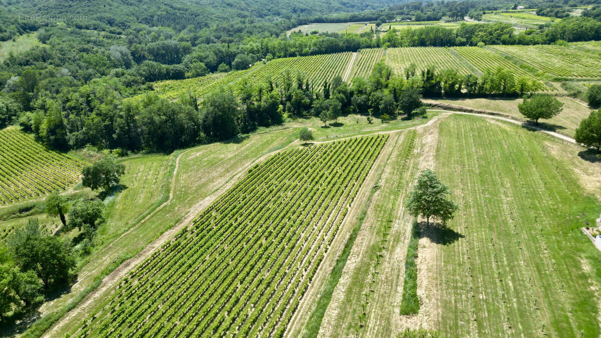 Domaine viticole biodynamique de 10 hectares avec mas provençal et cave moderne - photo 10