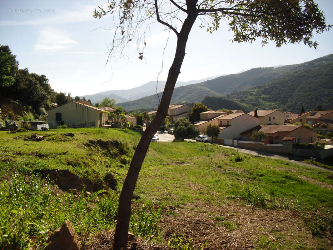 Terrain à AMELIE-LES-BAINS-PALALDA