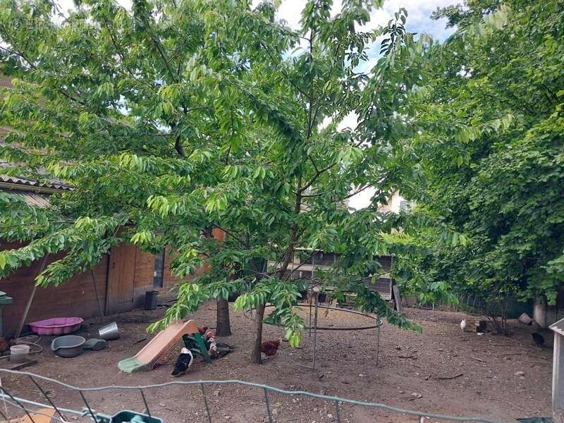 Maison à vendre 5 pièces CREIL (60) - photo 13