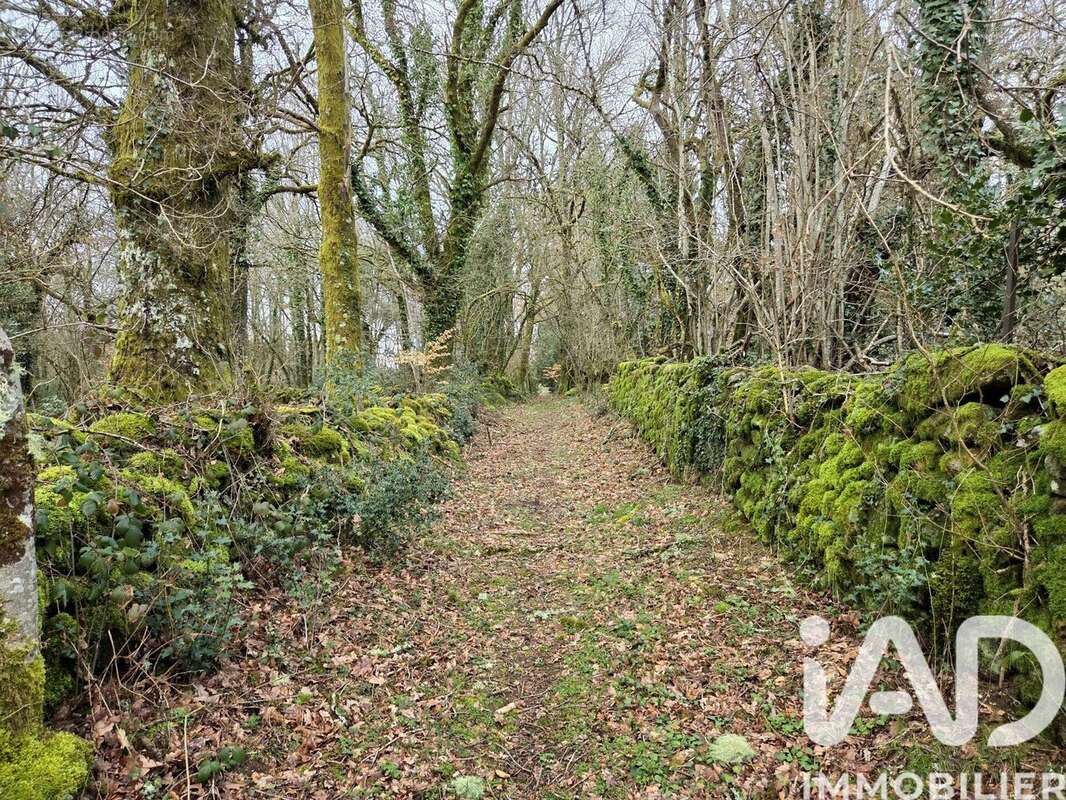Photo 5 - Maison à TARNAC