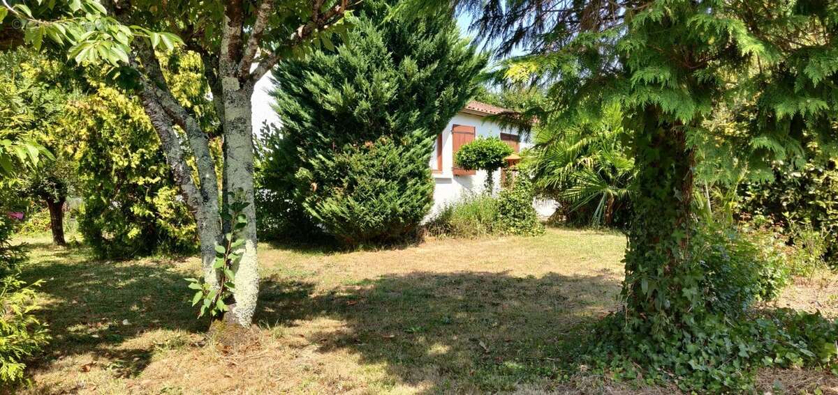 Maison de plain-pied, garage et jardin à vendre à Rioux (17) - photo 44
