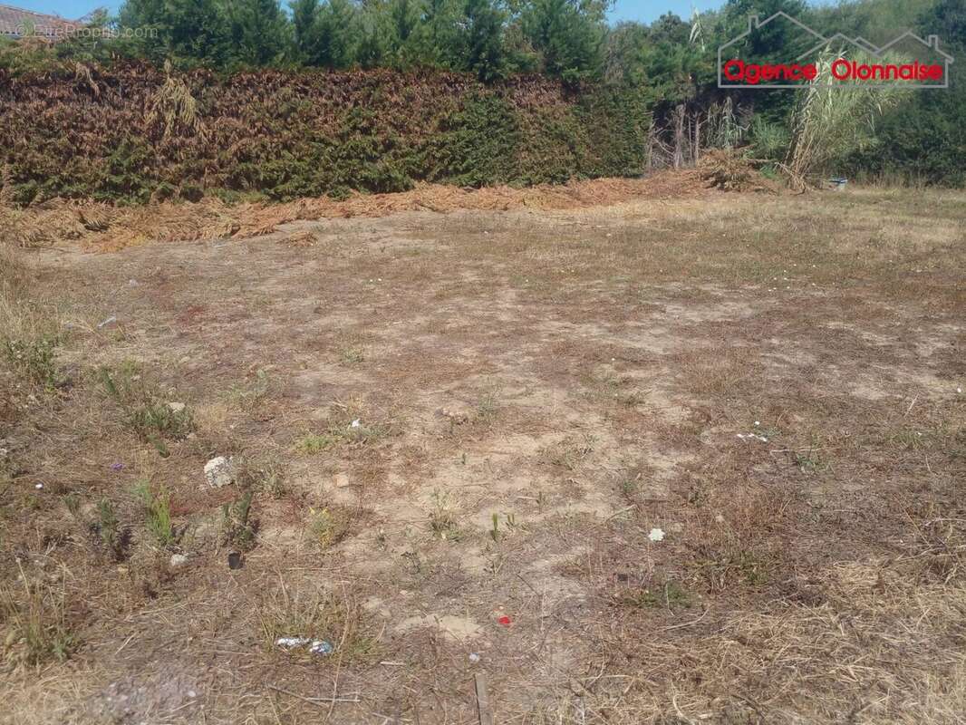 Terrain hors lotissement - photo 3
